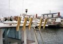 Adjust-O-Launcher 5 Rod Holder Array